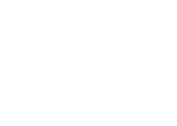 white new york times logo